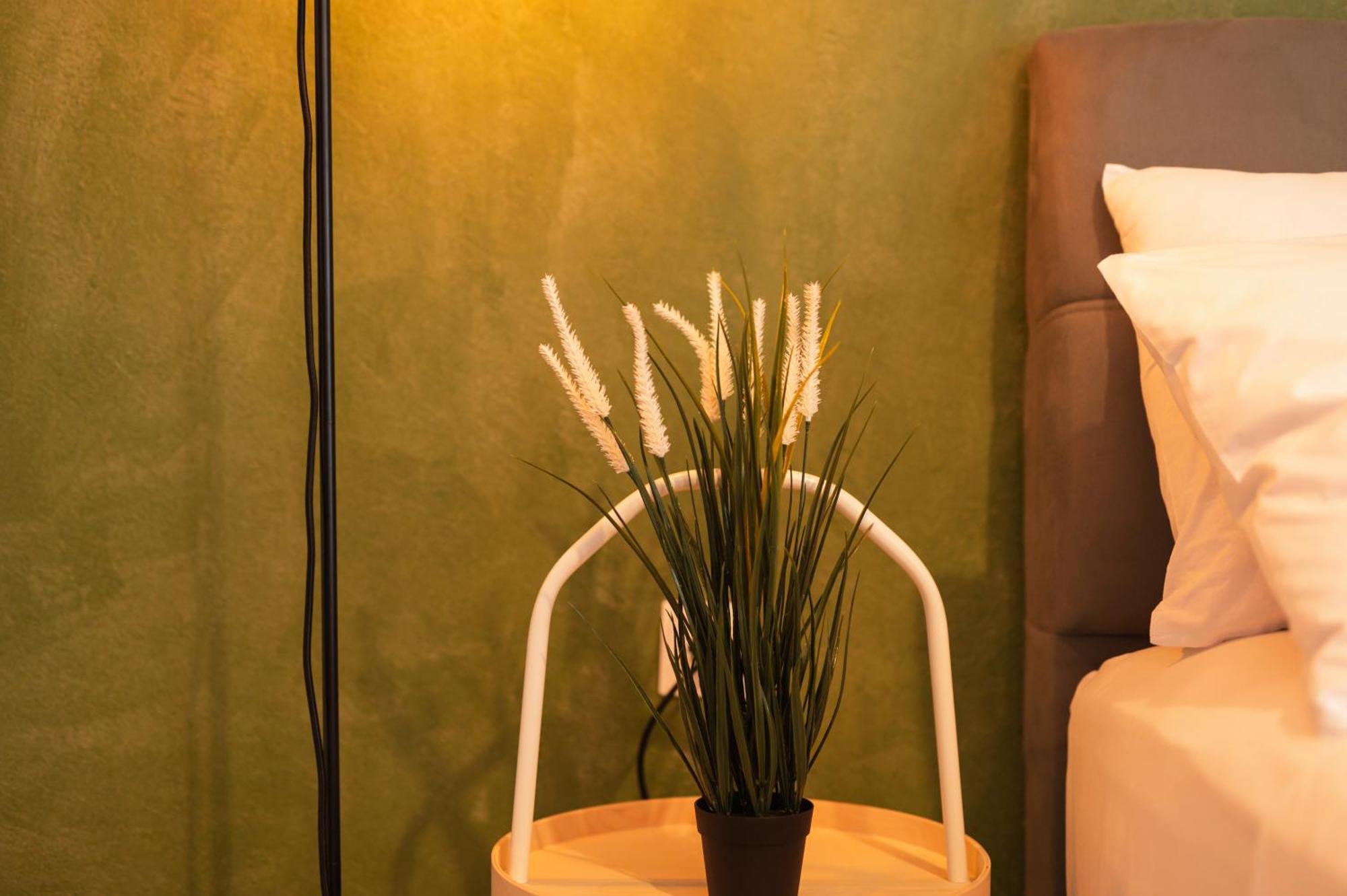 Ancient Forest Suite By Heeaven'S Hall Luxury Suites Alexandroupoli Bagian luar foto
